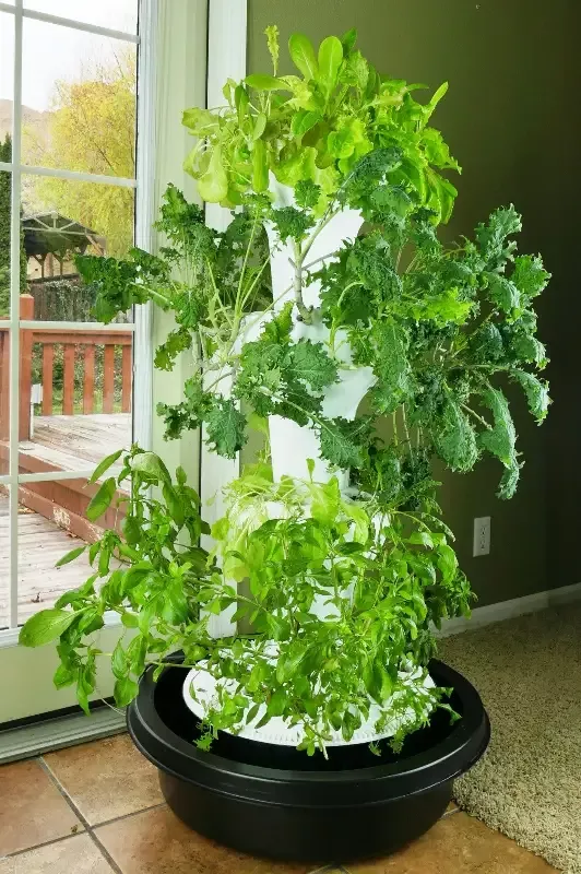 Foody 12 Hydroponic Tower – 44 Plant Ebb and Flow System