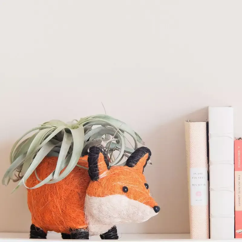 Fox Planter – Coir Planters