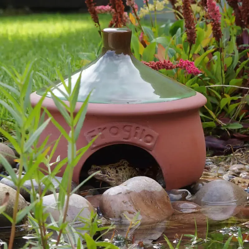 Frogilo Toad House