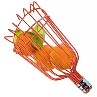 Fruit Harvester Basket with 8′ Wooden Pole