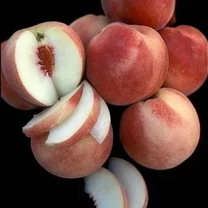 Fruit-Peach-White Lady Dwf #7