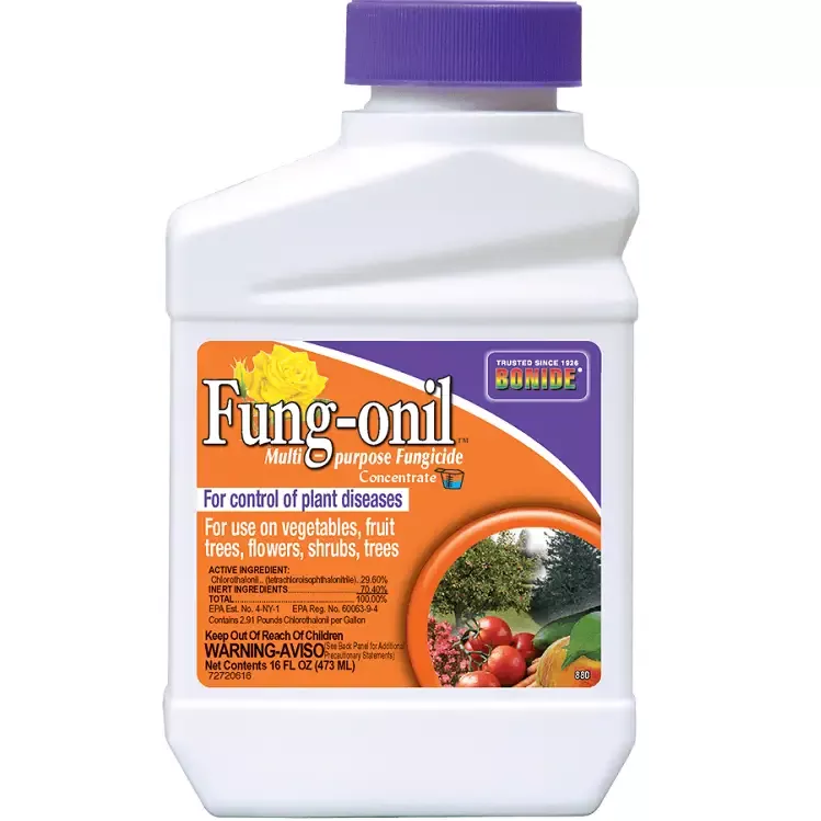 Fung-onil™ Concentrate, 16 oz. – Bonide