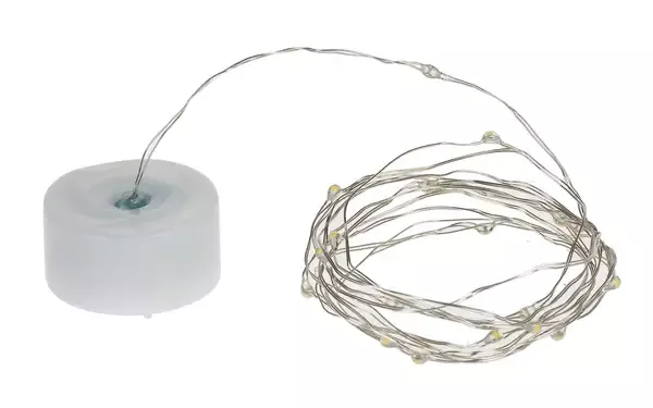 Ganz 6′ LED String Lights