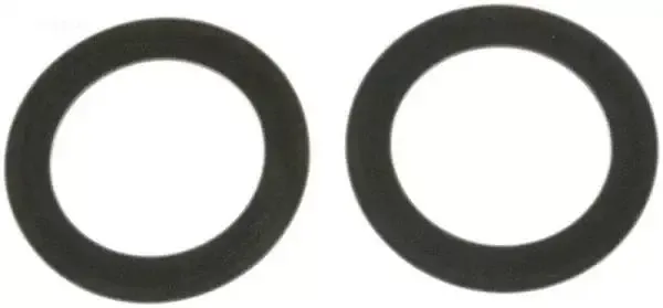 Gasket, Flat, 2/set