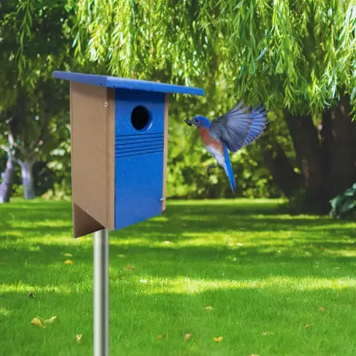 Gilbertson Bluebird Bungalow