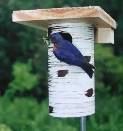 Gilbertson Nest Box – NABS Approved