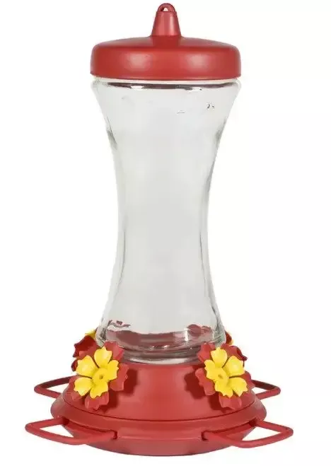 Glass Hummingbird Feeder with Adjustable Perch