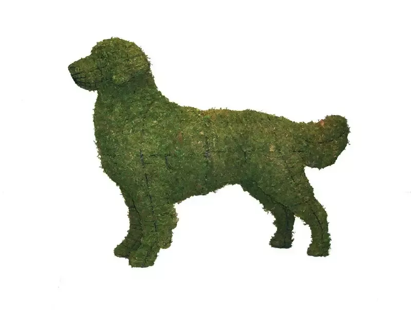 Golden Retriever 44″ Topiary Sculpture – Wire Frame or Moss Filled