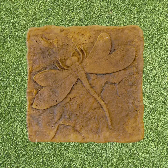Golden Wing Dragonfly Stepping Stone