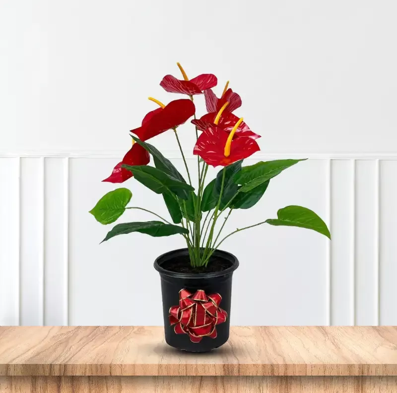 Gorgeous Artificial Anthurium Plant