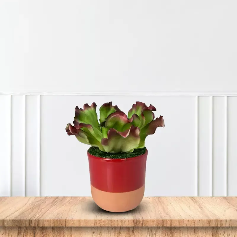 Gorgeous Artificial Plant in Pot of Your Choice -Good Gift