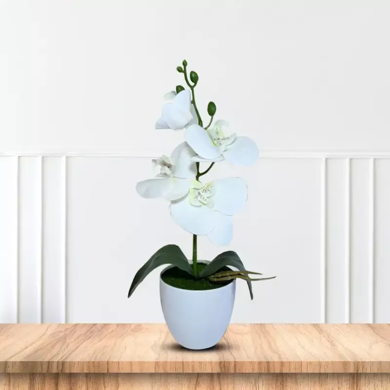 Gorgeous White Mini Orchid In Different Type of Pot – Artificial