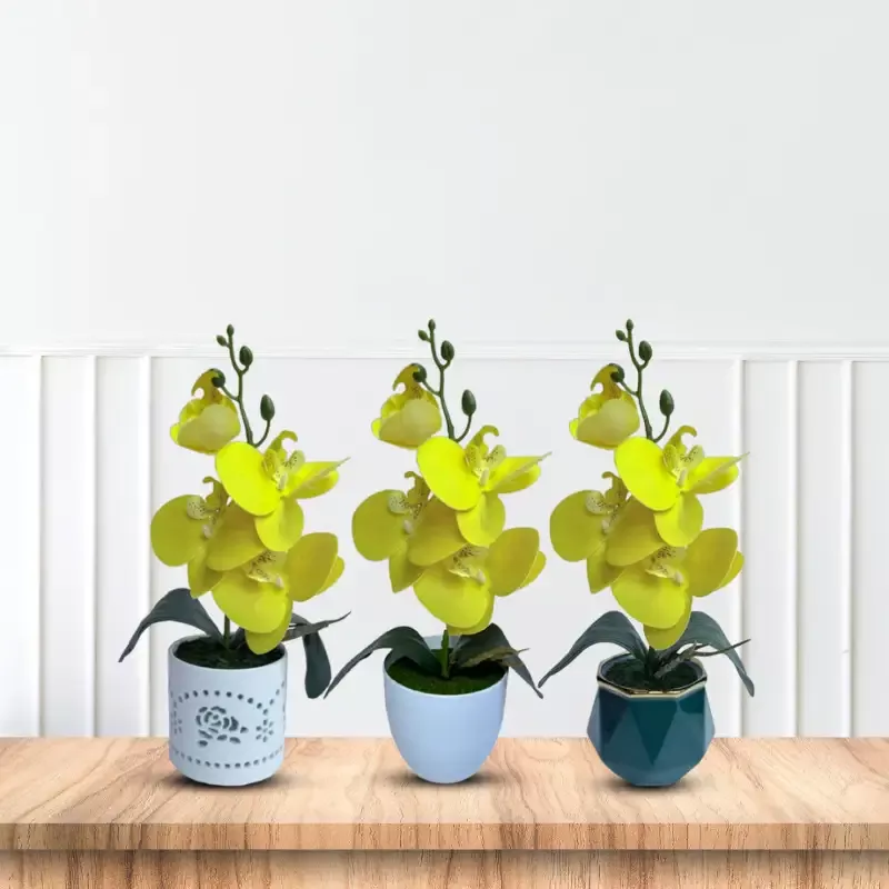 Gorgeous Yellow Mini Orchid In Different Type of Pot – Artificial