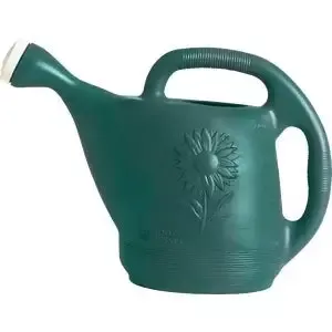 Green 2 Gallon Watering Can