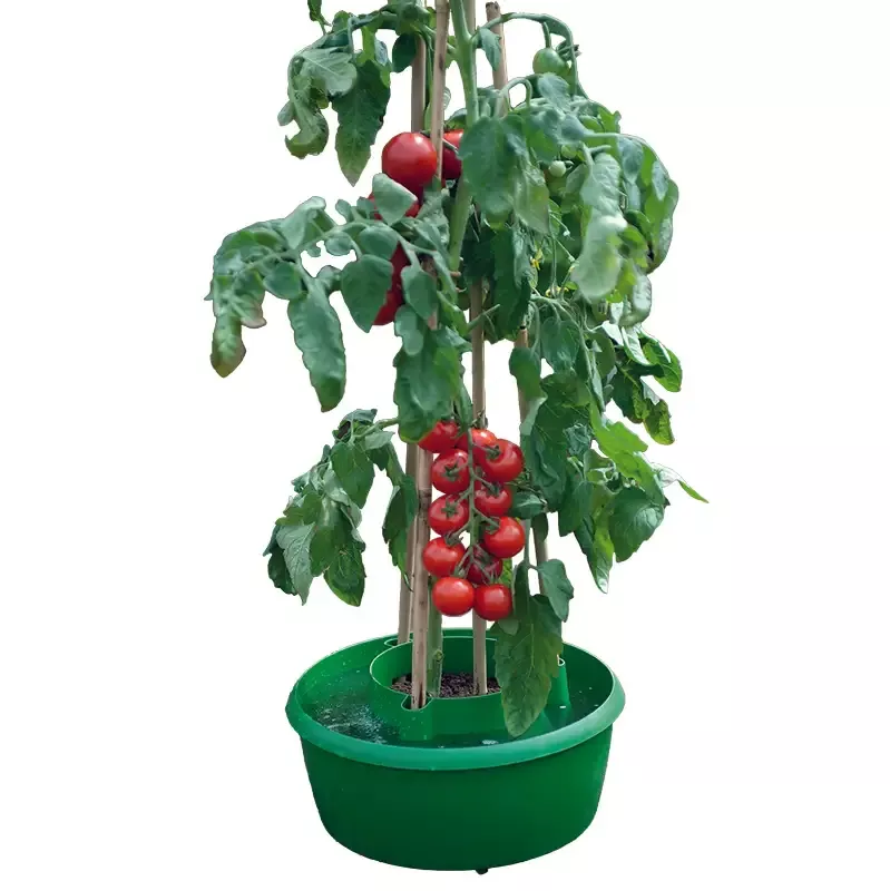 Green Plant/Crop Support Halos-3pk, 11.5″D x 6″H, 5.5″ inner pot opening