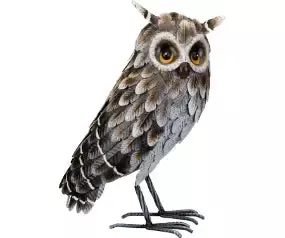 Grey Horned Standing Owl