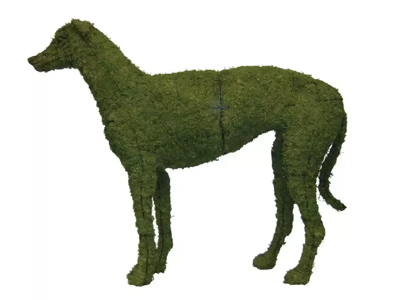 Greyhound 37″ Moss Topiary Sculpture