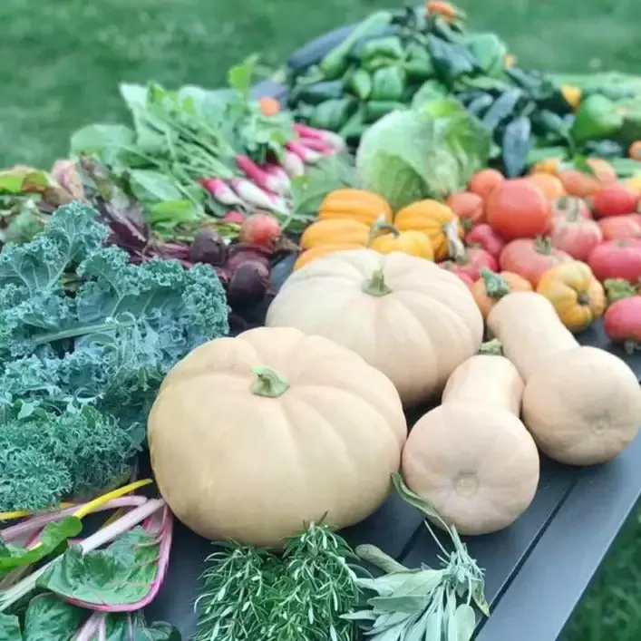 Grow Your Own Fall Garden Collection Kit