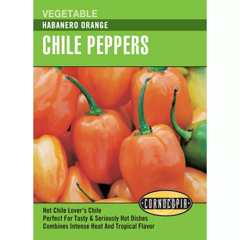 ‘Habanero Orange’ Chile Peppers