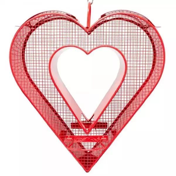 Heart Mesh Fly Thru Feeder