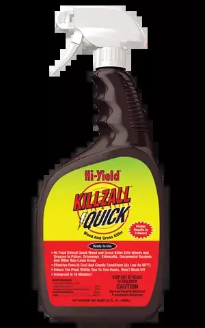 Hi-Yield KILLZALL Quick Weed And Grass Killer