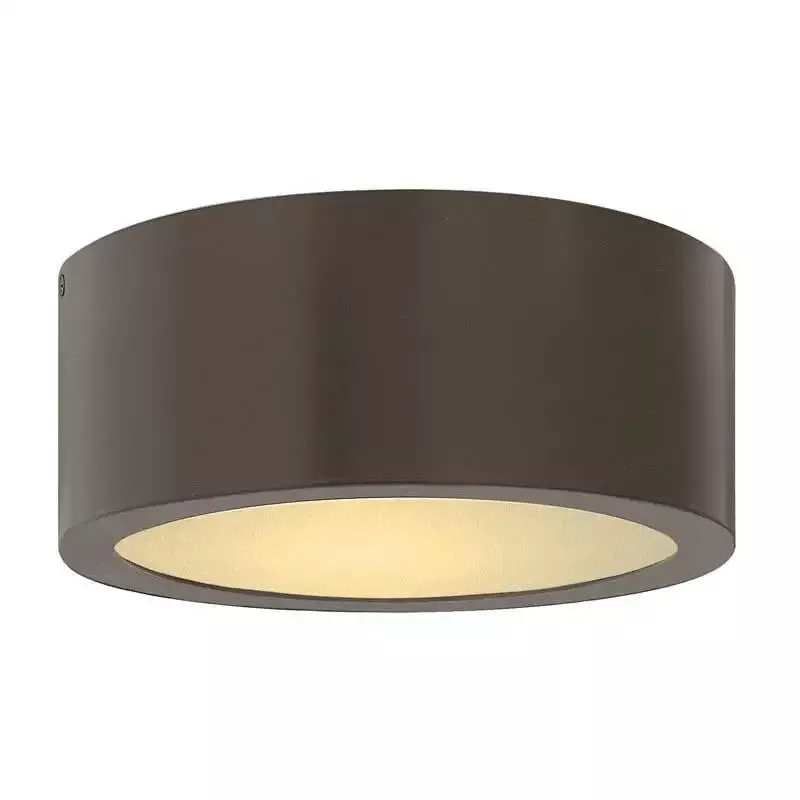 Hinkley 1665 Outdoor Luna Ceiling Light