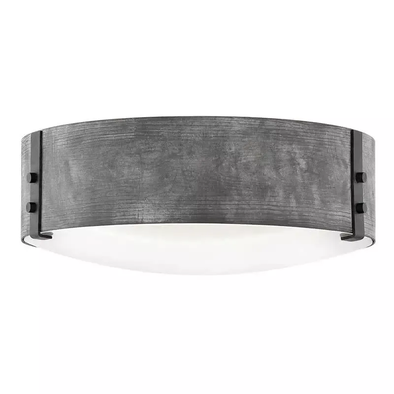 Hinkley 29203 Outdoor Sawyer Ceiling Light