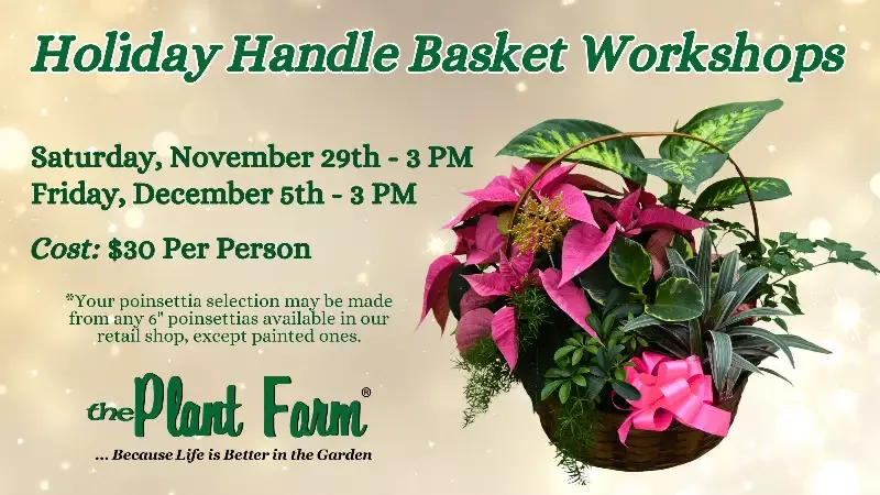 Holiday Handle Basket- Saturday, November 29th @ 3PM