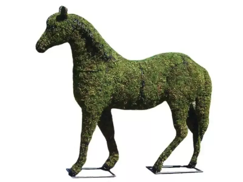 Horse 20″, 30″, 41″, 57″ and 81″ Topiary Sculpture – Wire Frame or Moss Filled