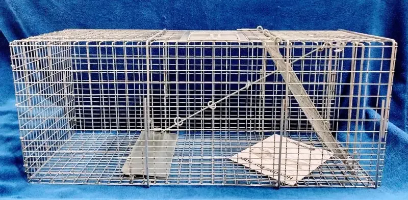 Humane Animal Box Trap
