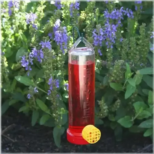 Hummingbird Feeder for Hanging Basket, Perky Pet 215P