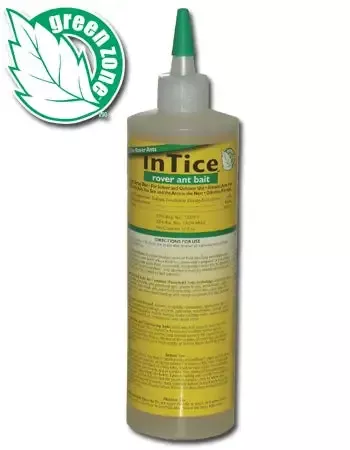 InTice Rover Ant Bait