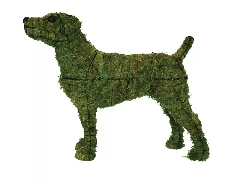 Jack Russell 22″ Topiary Sculpture – Wire Frame, Moss Filled or Lighted