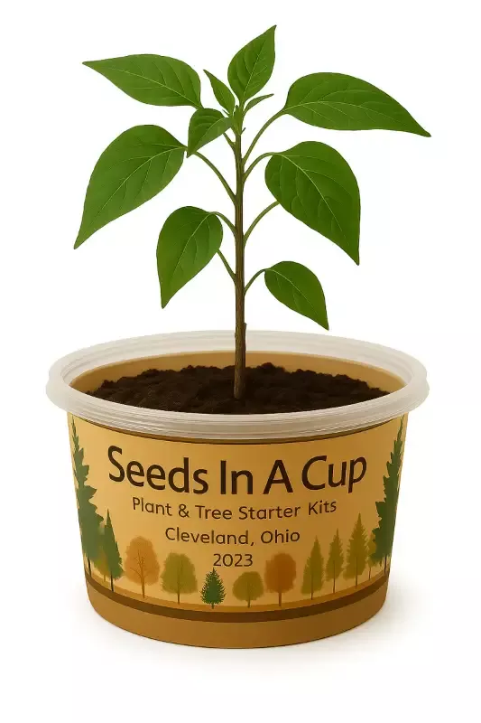 Jalapeño Plant Grow Kit|Seeds In A Cup™ |