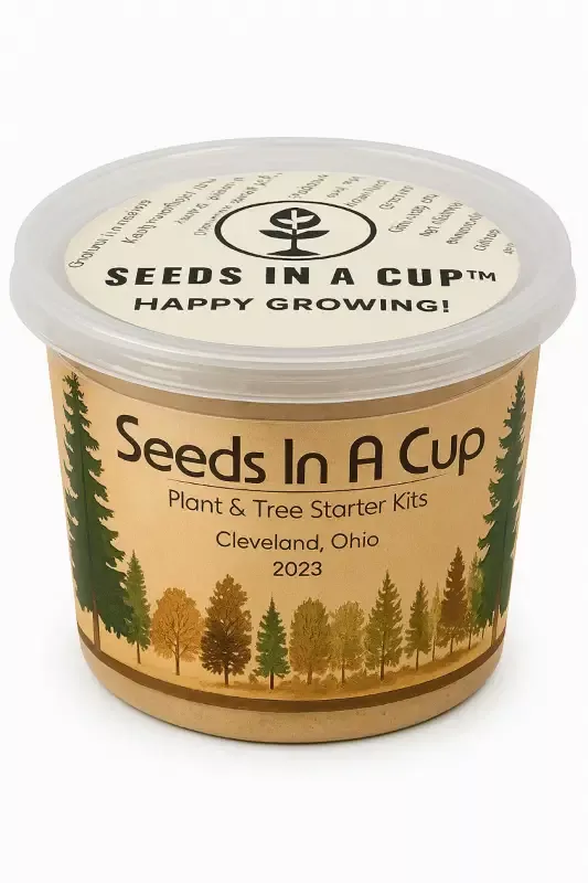 Jasmine | Plant Seed Starter Grow Kit | Seeds In A Cup™