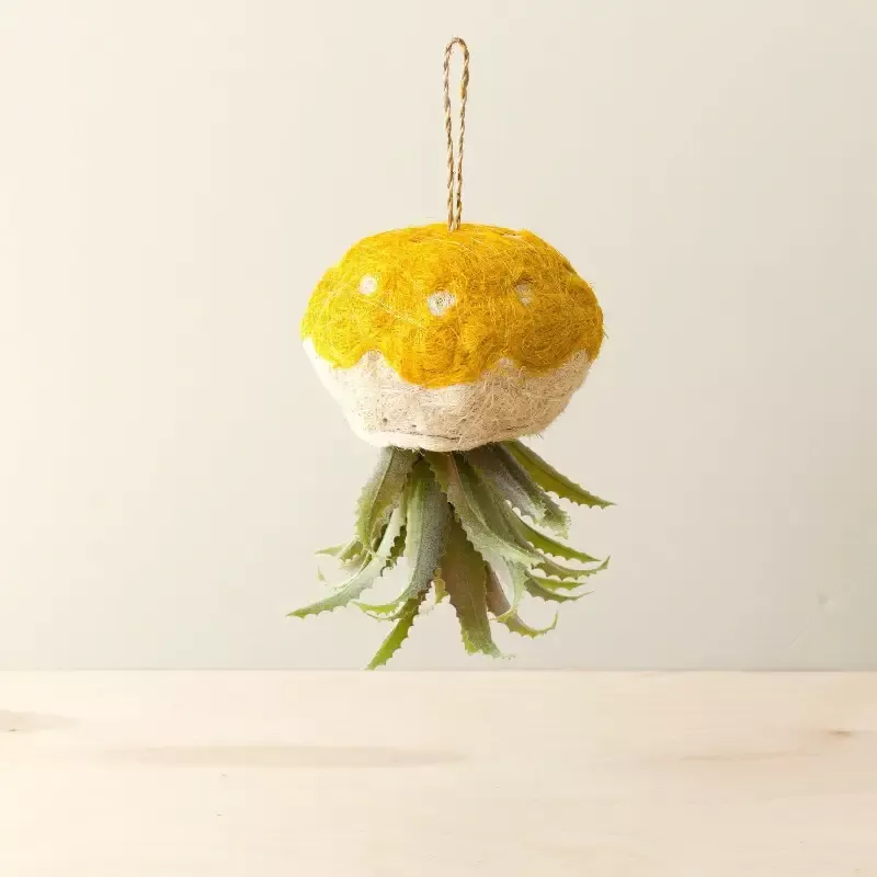 Jellyfish Air Planter – Handmade Planters