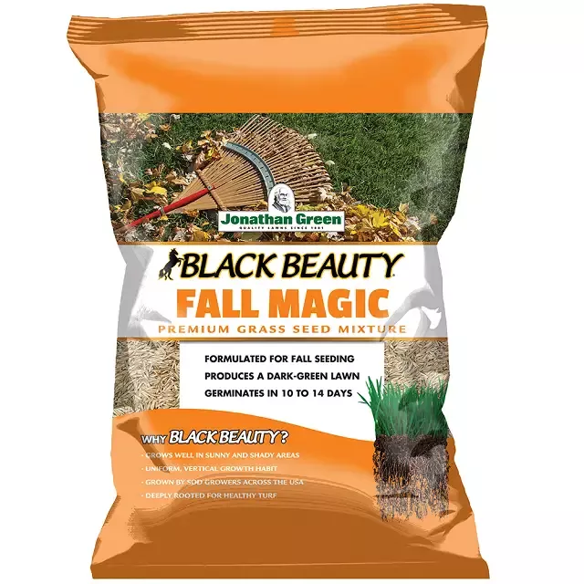 Jonathan Green Black Beauty Fall Magic Grass Seed