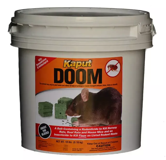 Kaput Doom Blocks
