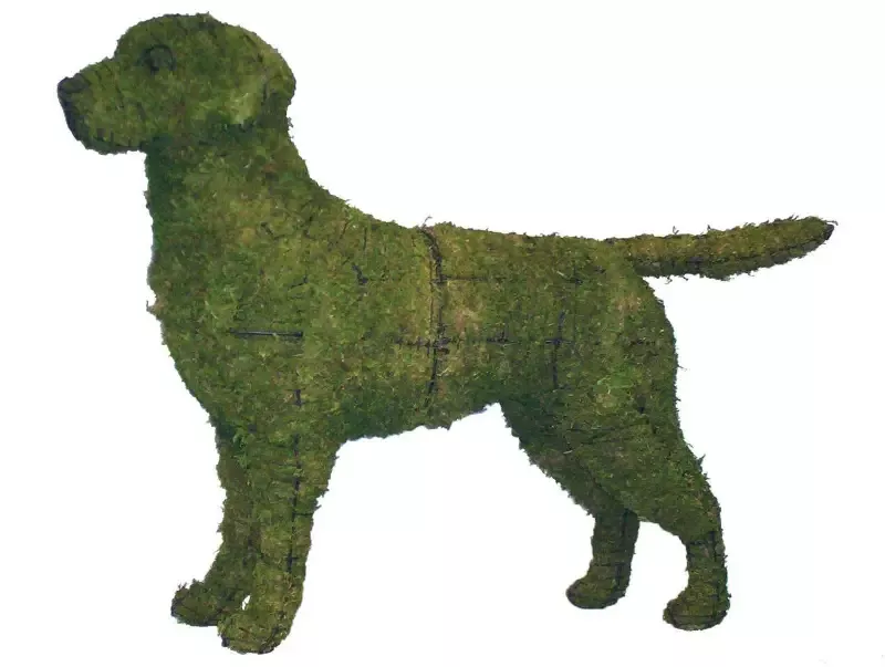 Labrador Retriever 41″ Topiary Sculpture – Wire Frame or Moss Filled