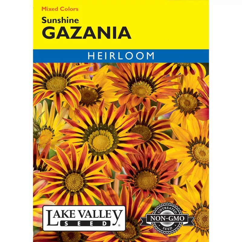 Lake Valley, Gazania Sunshine, Mixed Colors