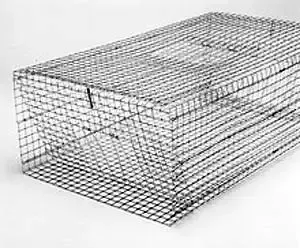 Large Pigeon Trap