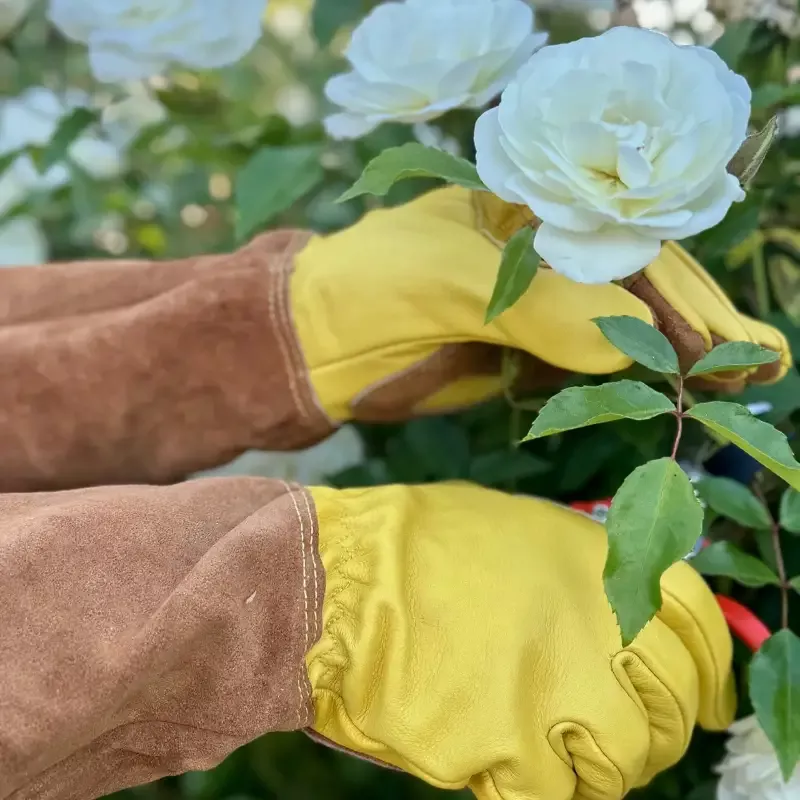 Long Garden Gloves – Rose Pruning Gloves (Soft Cowhide)