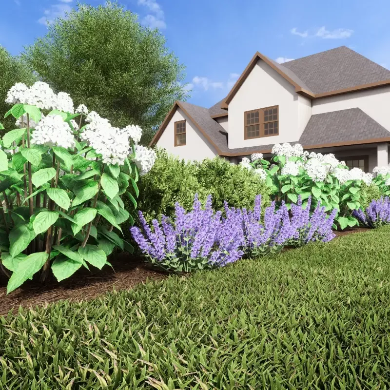 Low Border Garden