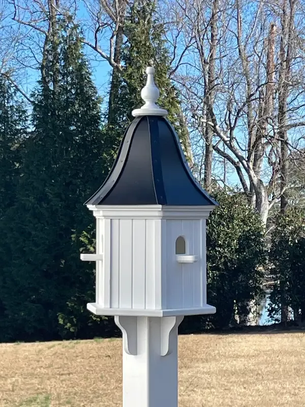 Luxury Black Vinyl House 28×12- 3 Perches