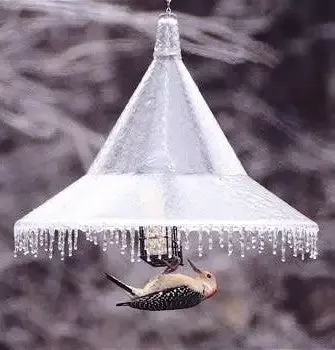 Mandarin Hanging Squirrel Baffle
