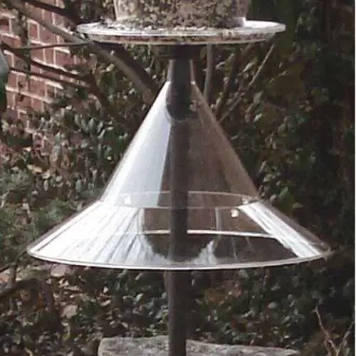 Mandarin Pole Mount Squirrel Baffle