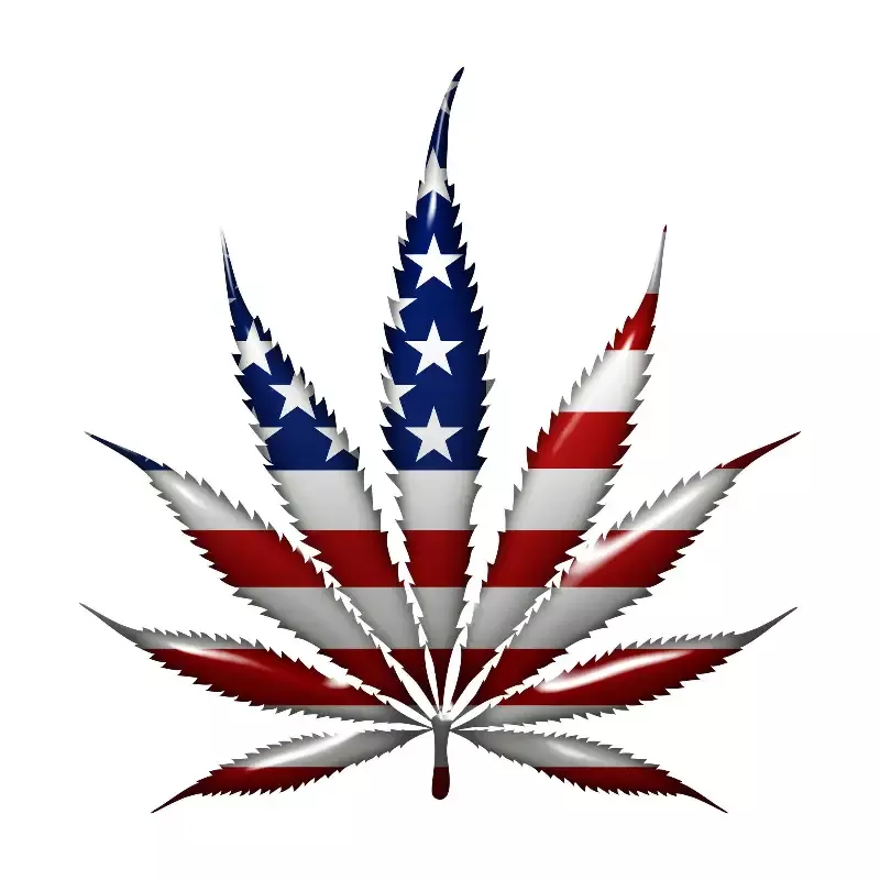 Marijuana Leaf Flag T-Shirt