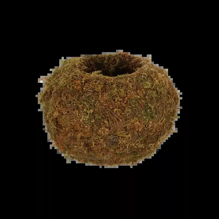 Medium Kokedama Ball