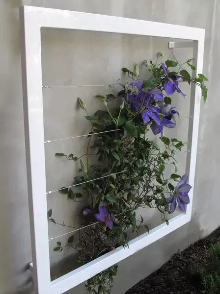 Medium Wall Trellis