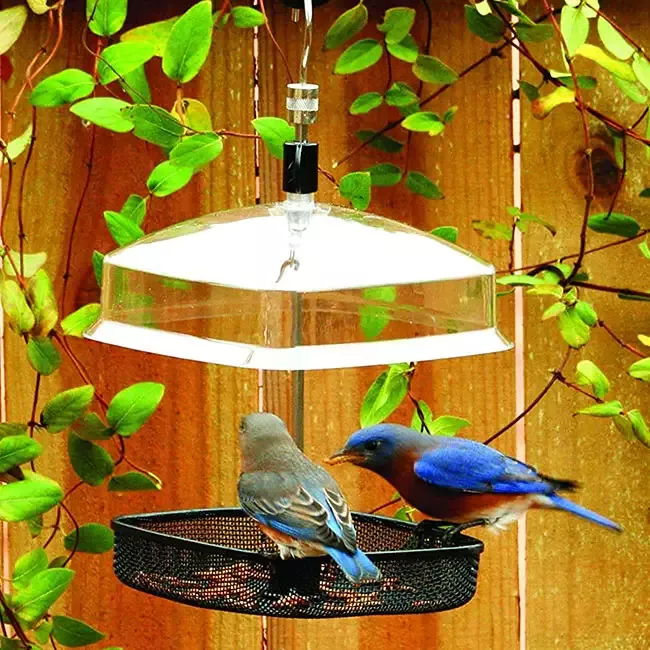 Mesh Tray All-Purpose Bird Feeder